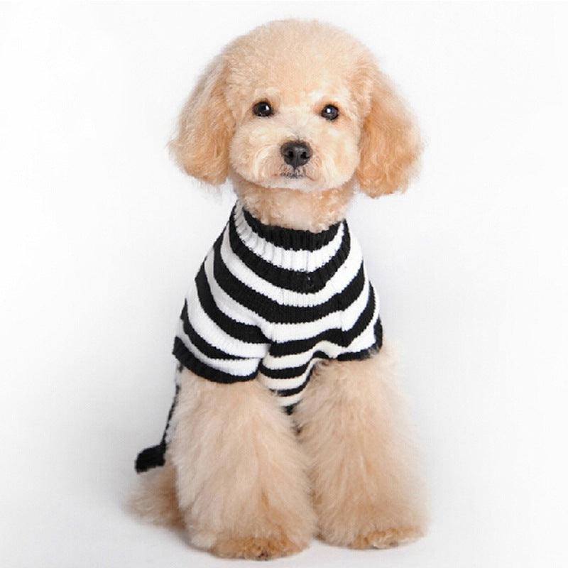 Skull Dog Halloween Sweater - Spooky Pet Fashion For All Seasons