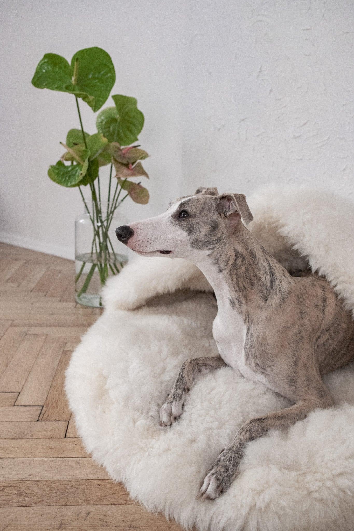 Natural Sheepskin Pet Cave - White