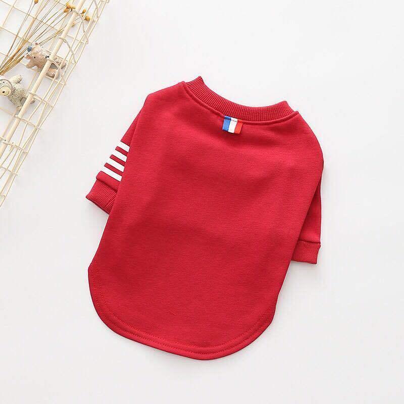Cozy Canine Knitwear: Stylish And Warm Dog Sweater For Winter