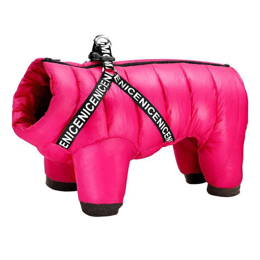Cozy Winter Pet Apparel: Stylish Clothes For Your Furry Friend